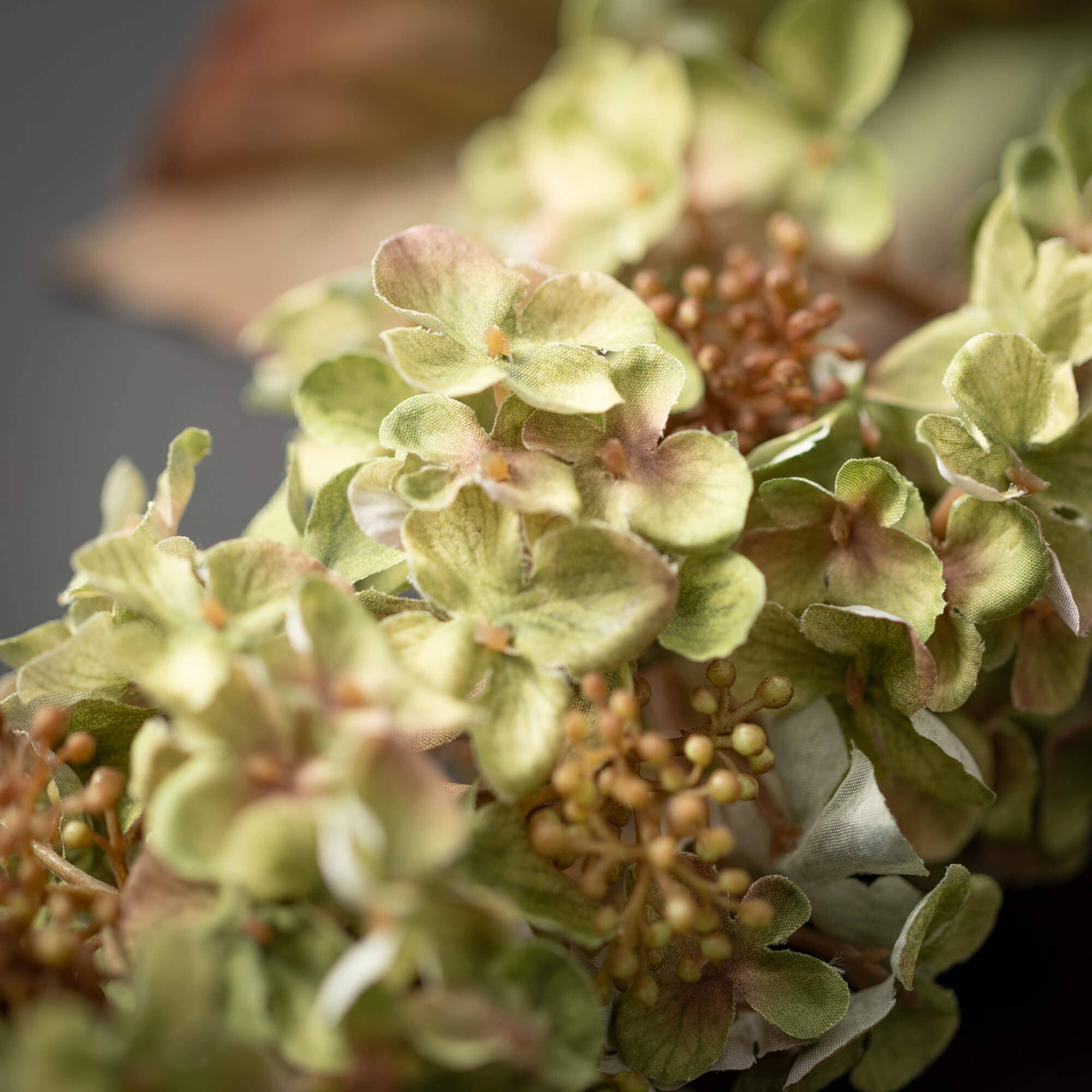 Hydrangea Spray | Green