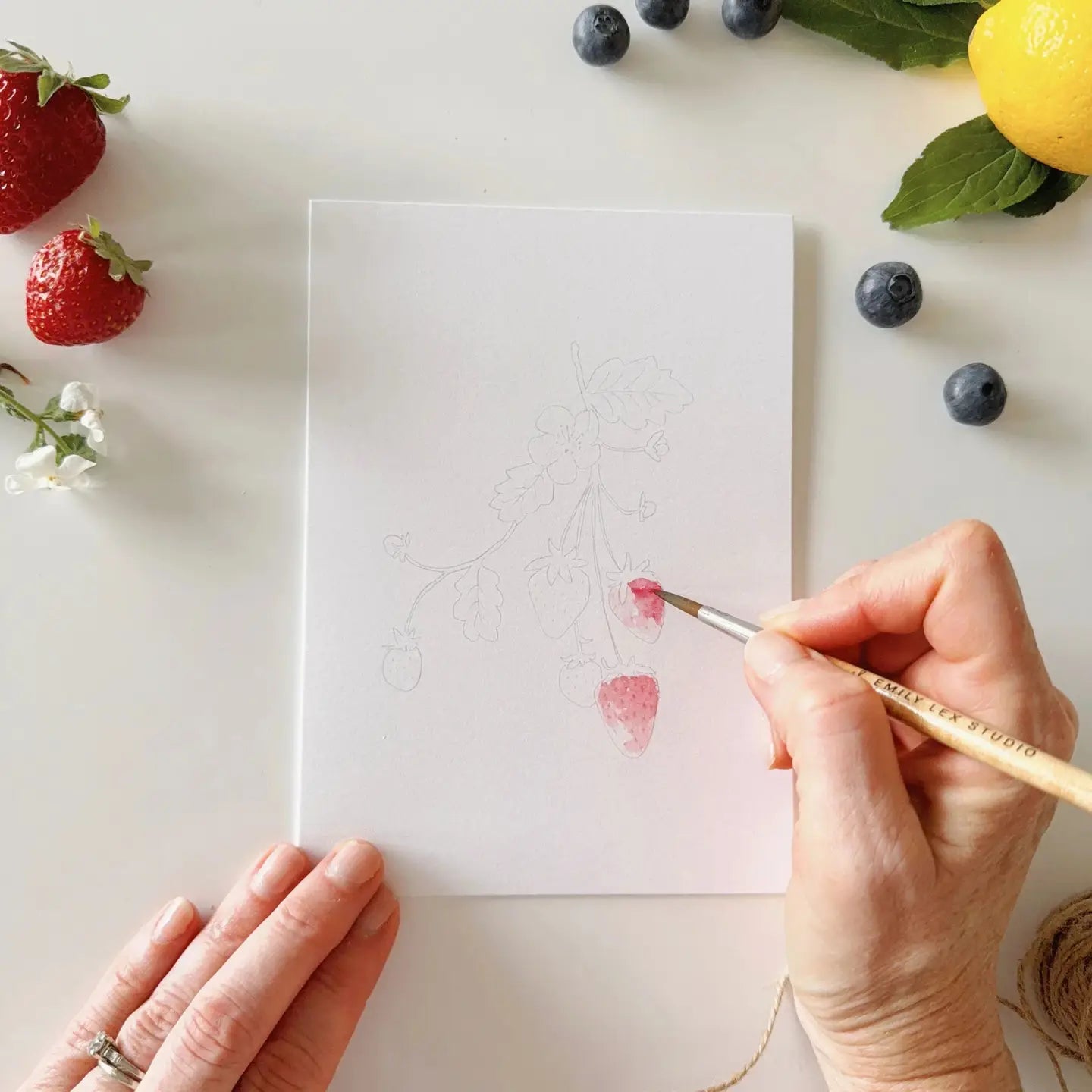 Watercolor Notecard Set