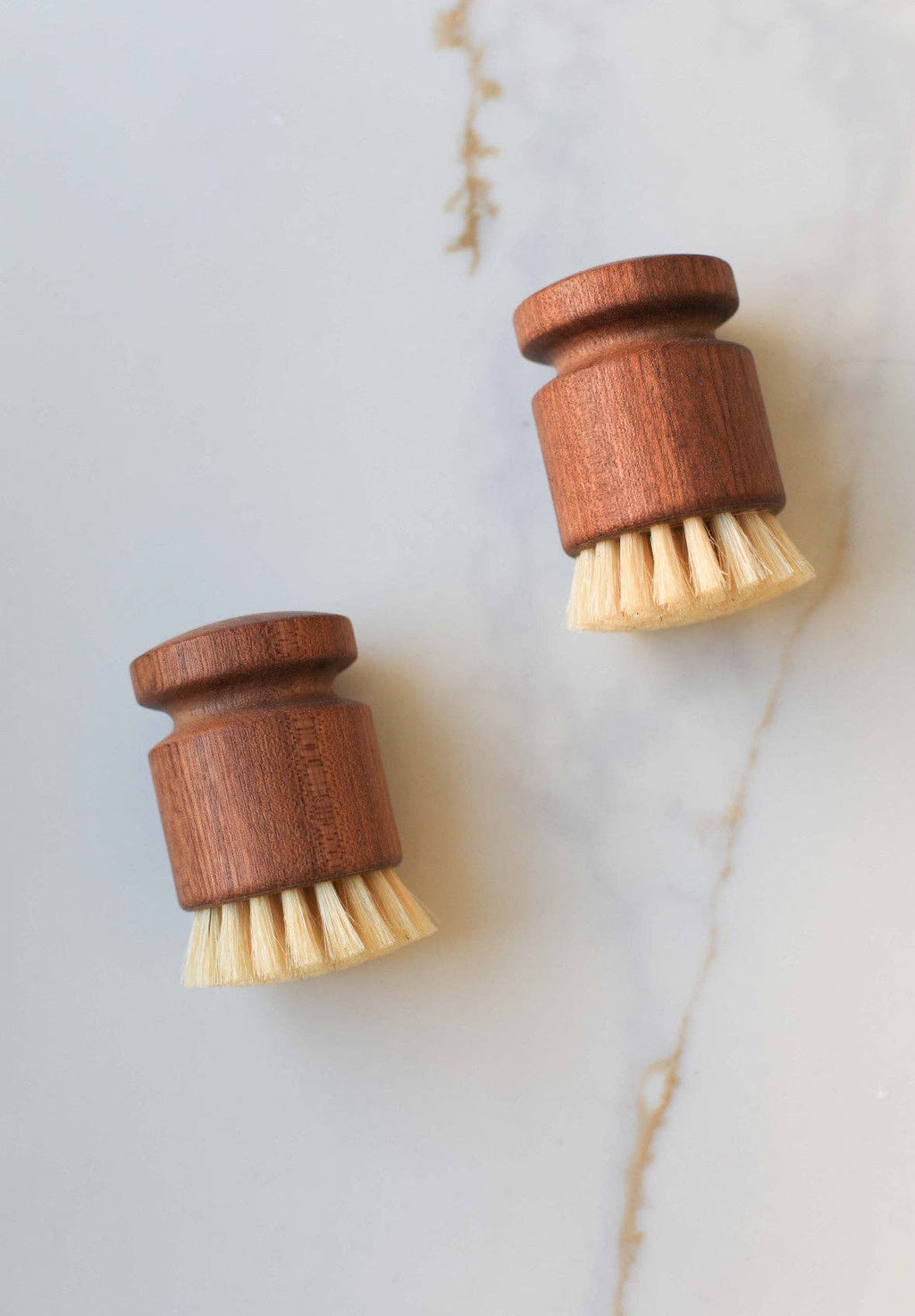 Eco Dish Scrub