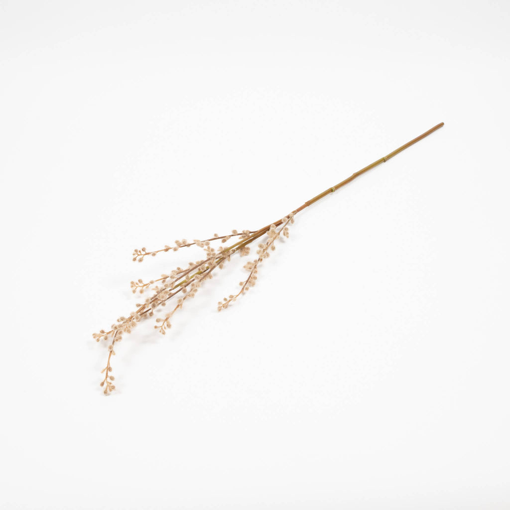 Fuzzy Willow Branch
