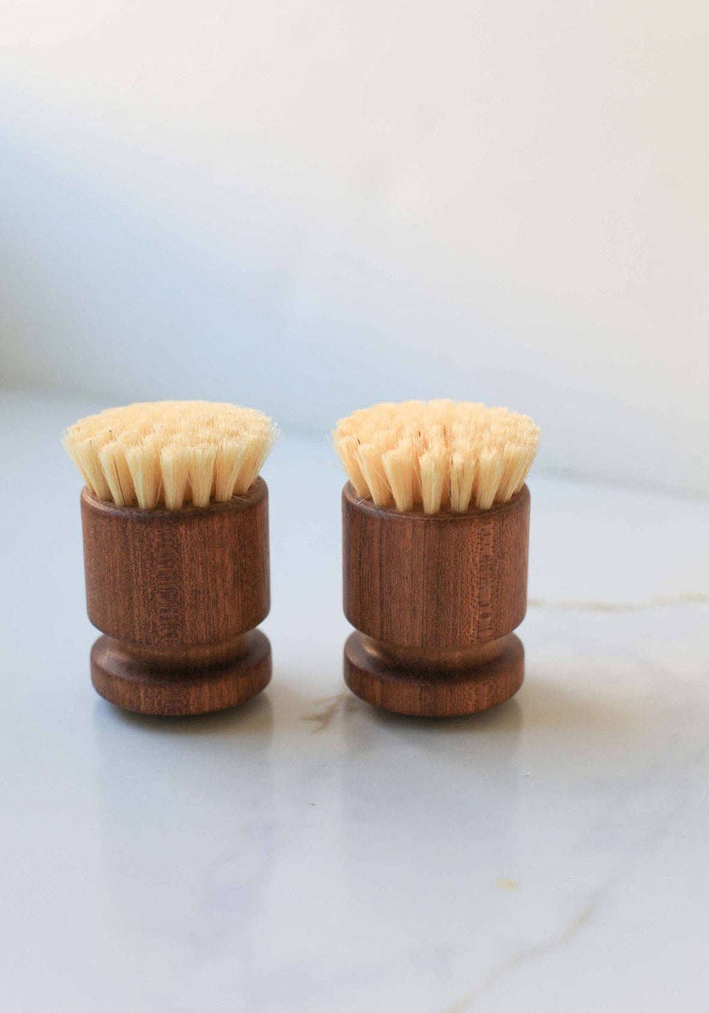 Eco Dish Scrub