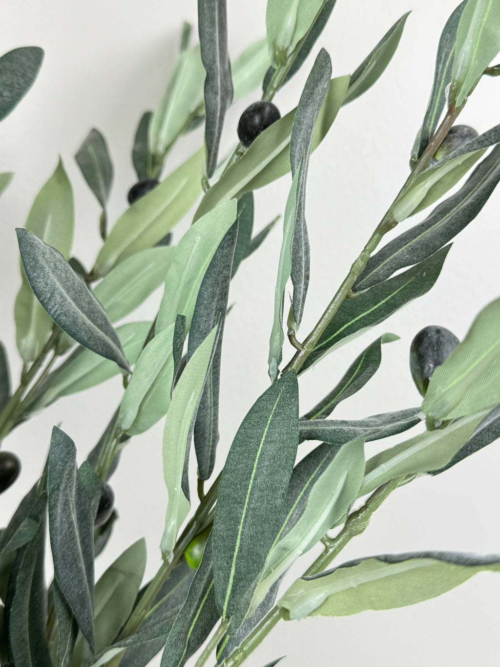 Realistic Olive Branch | Long Stem