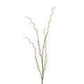 Curly Willow Branch