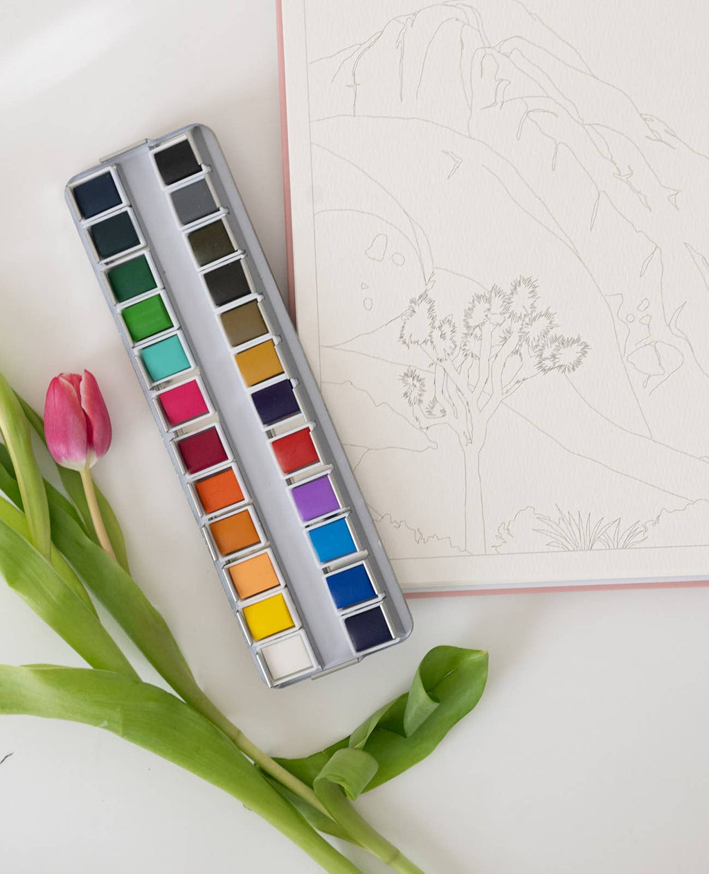Watercolor Paint Palette