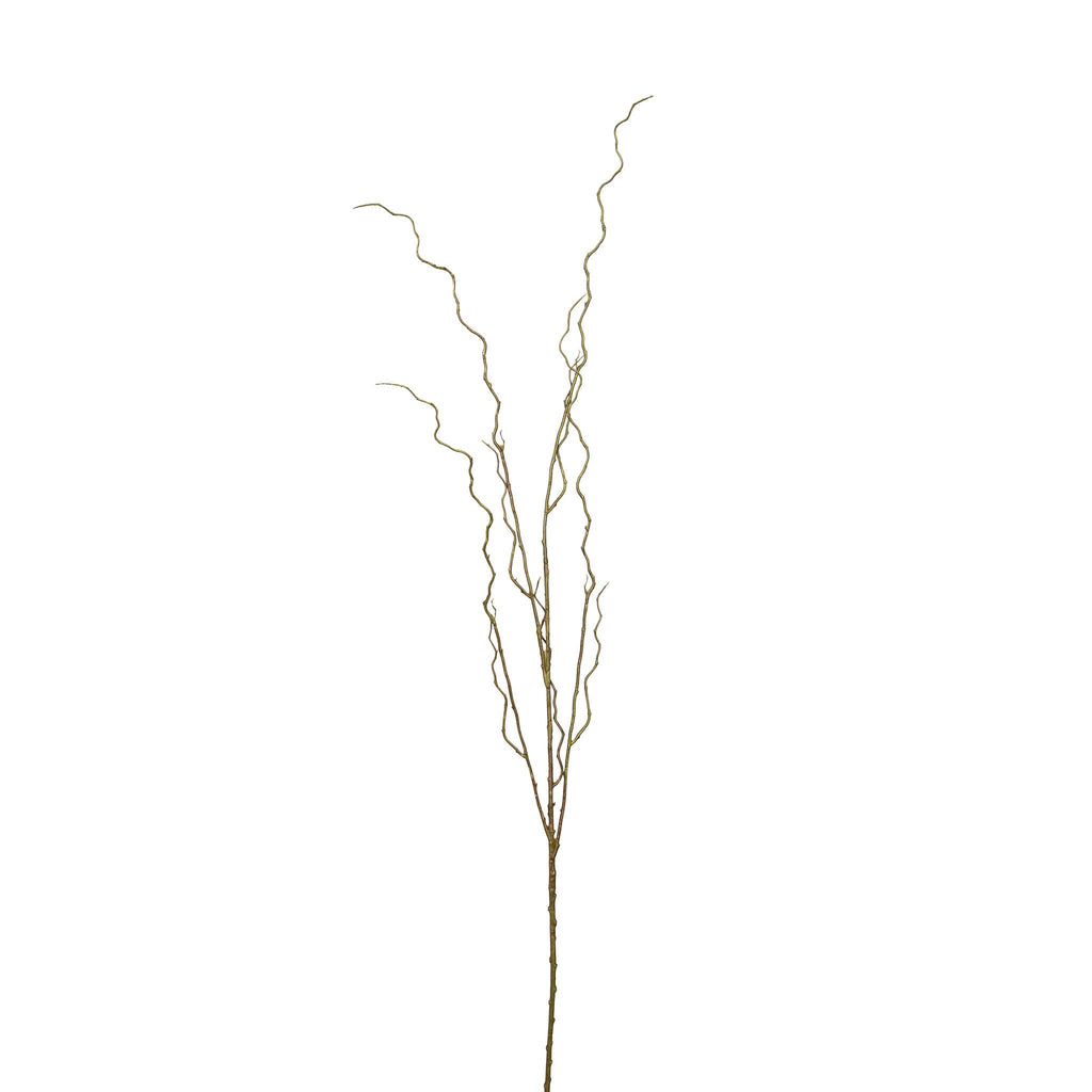 Curly Willow Branch