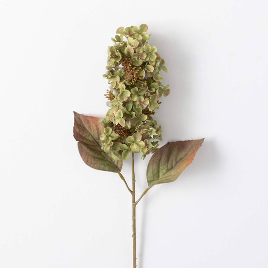 Hydrangea Spray | Green