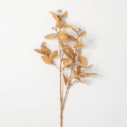Soft Amber Brown Eucalyptus