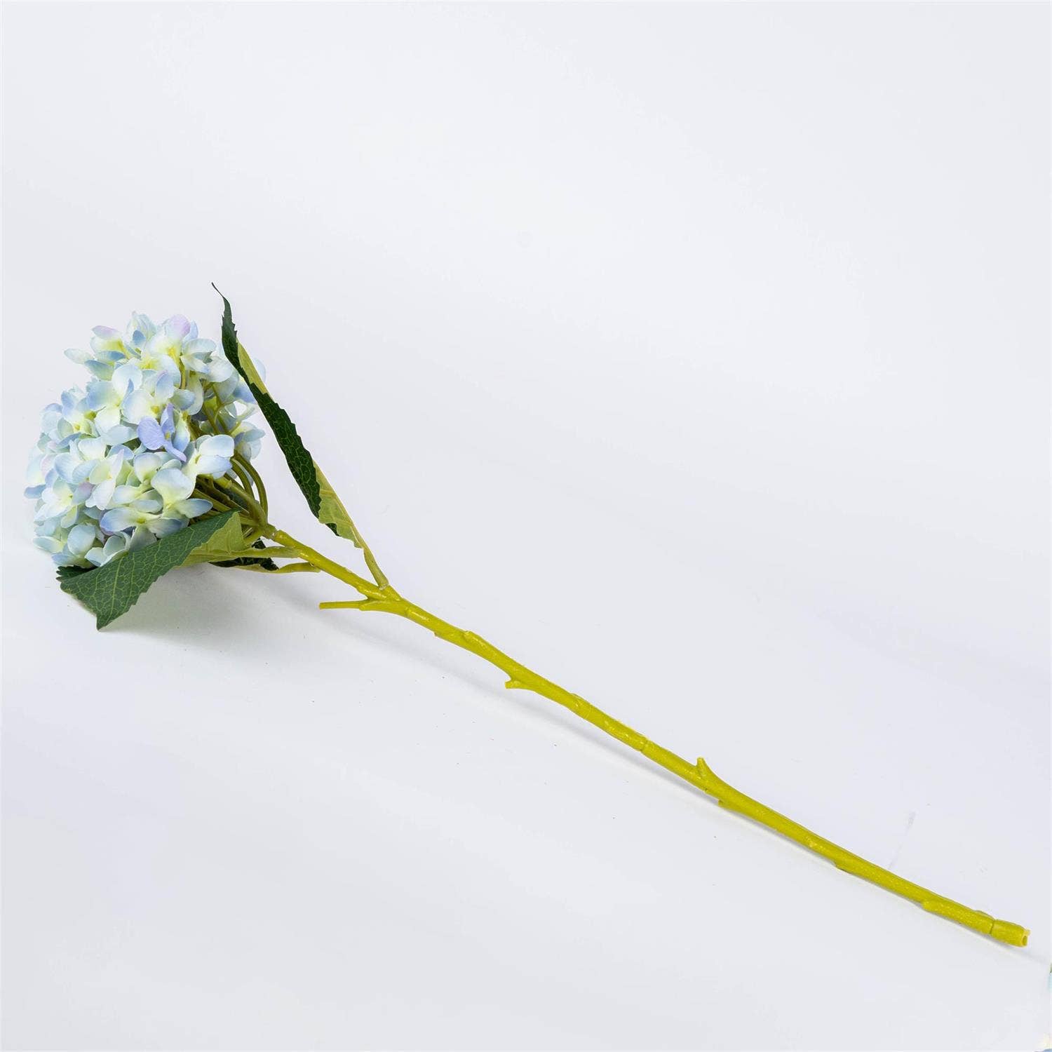 Hydrangea Light Blue