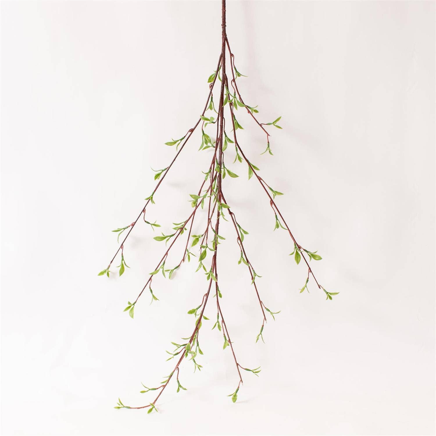 Willow Buds