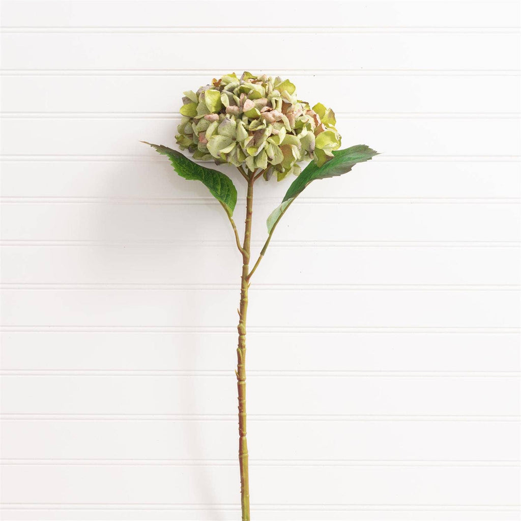 Hydrangea Green Filler