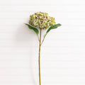 Hydrangea Green Filler