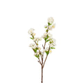 Cherry Blossom Branch