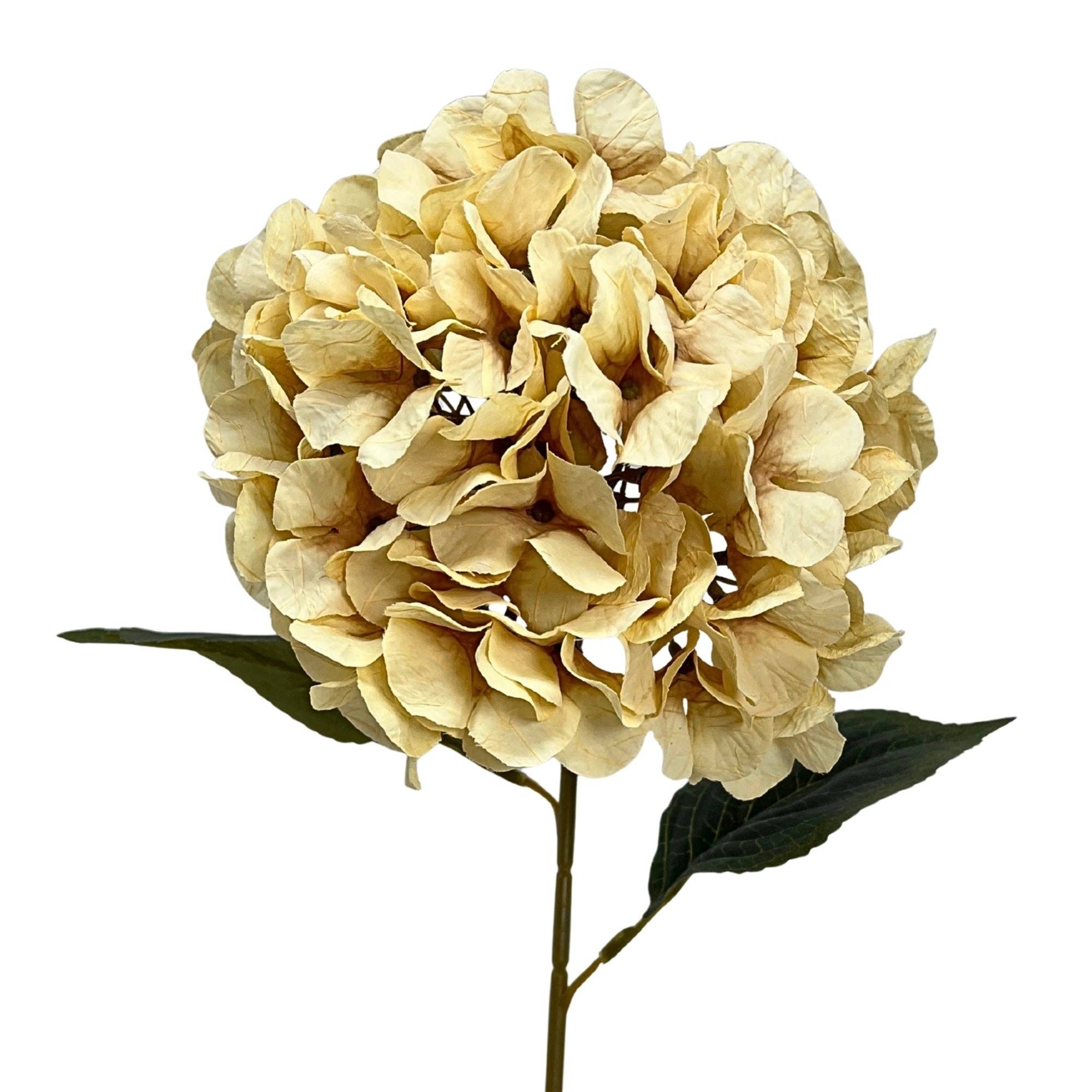 Faux Dried Hydrangea Stem