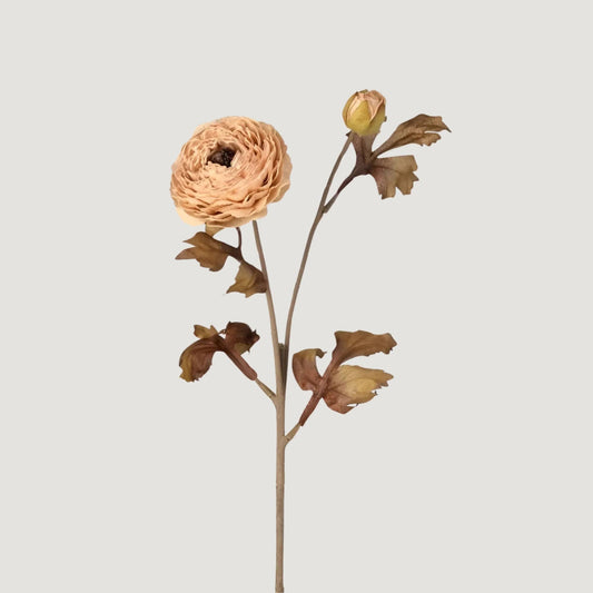 Autumn Taupe Ranunculus Flower