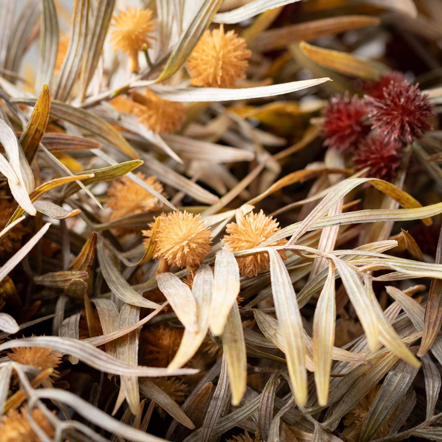 Fall Mixed Grass Bush