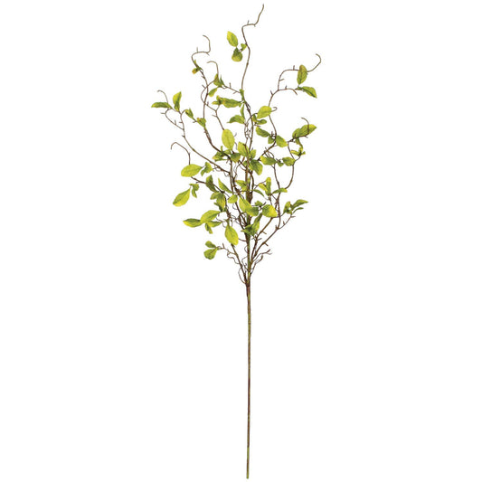 Leaf And Twig Spray