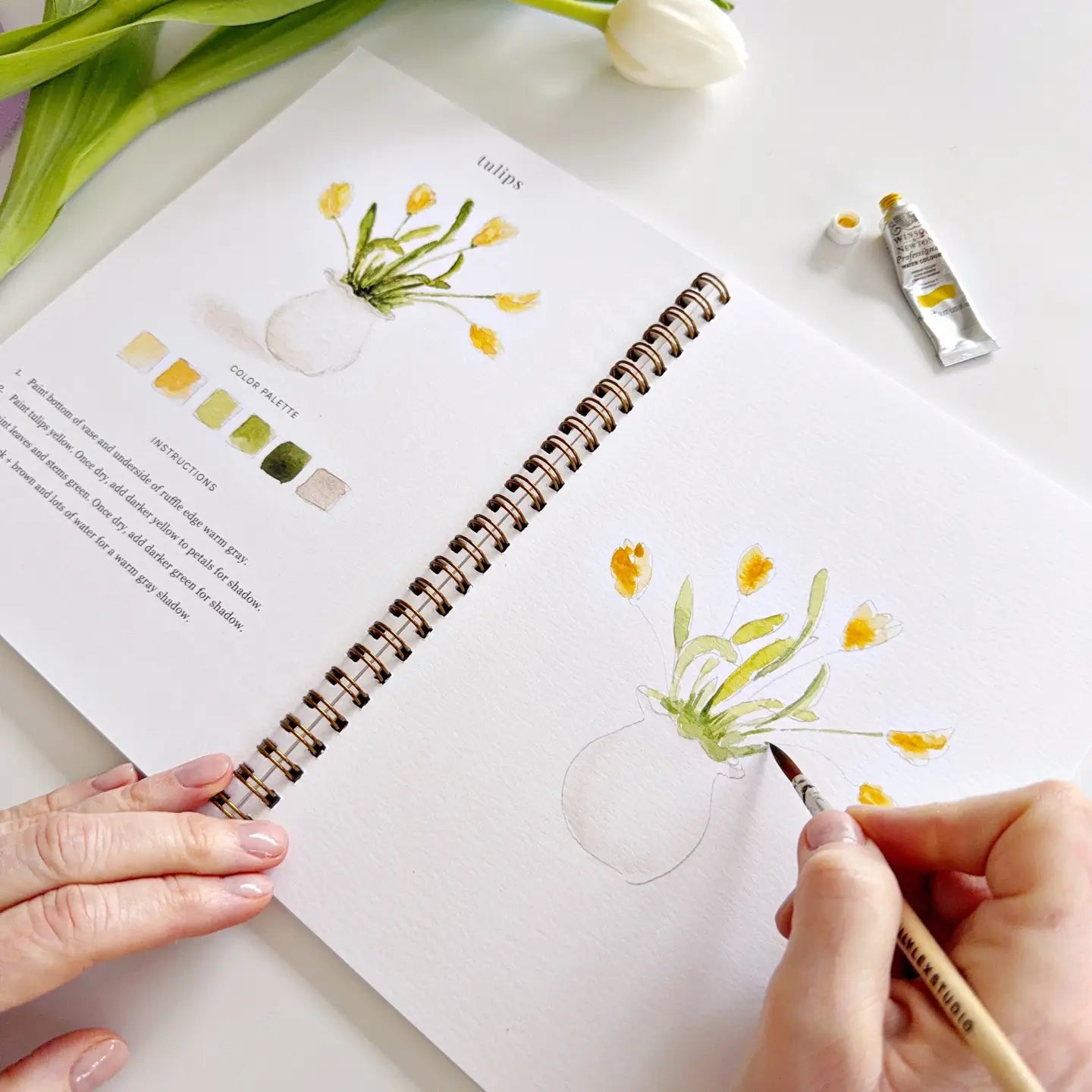 Watercolor Books