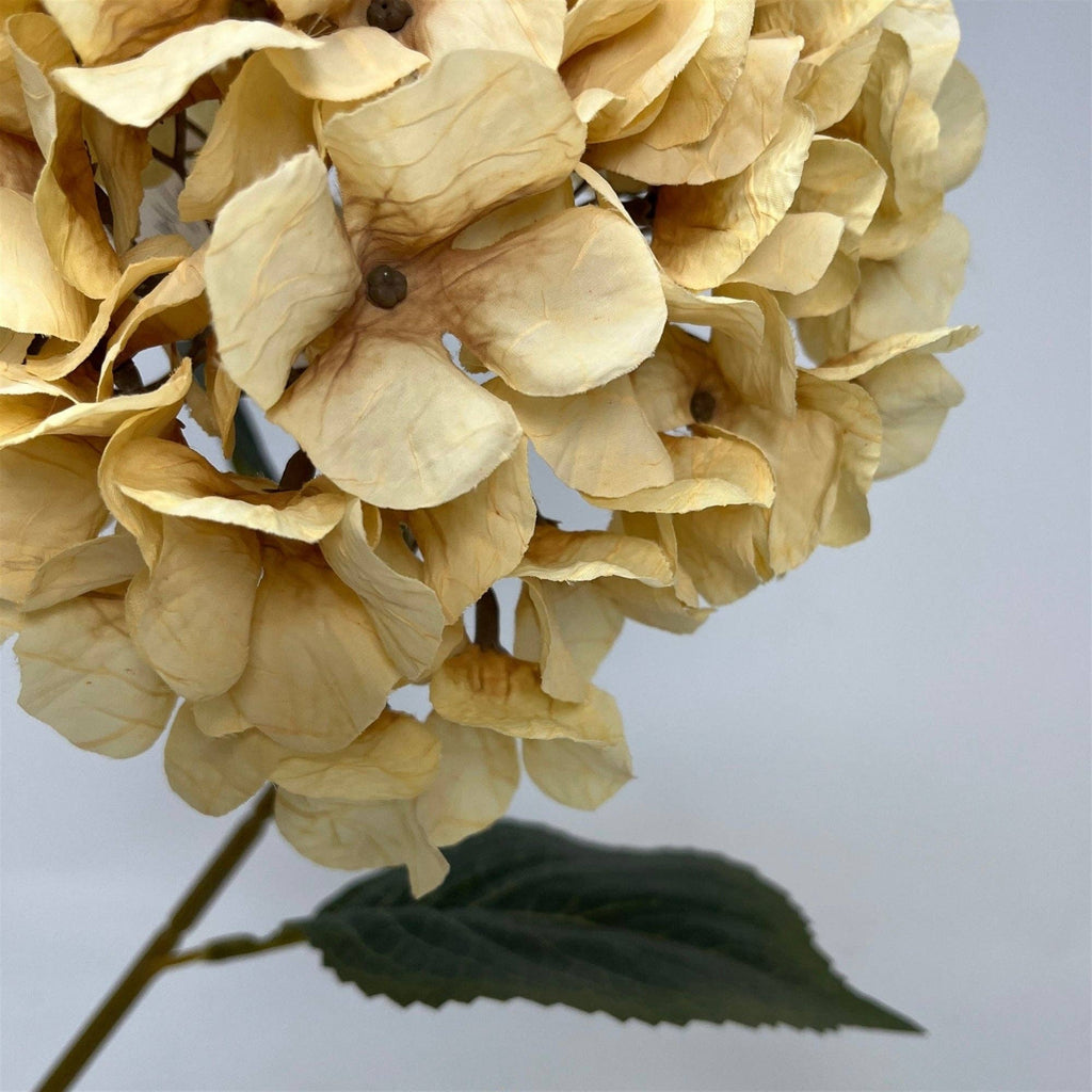Faux Dried Hydrangea Stem