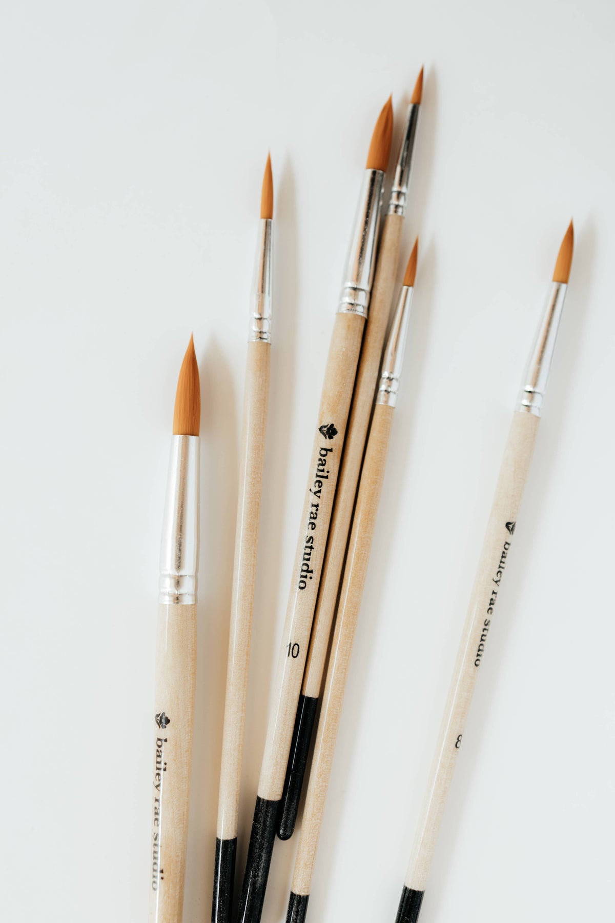 Watercolor Brush Collection