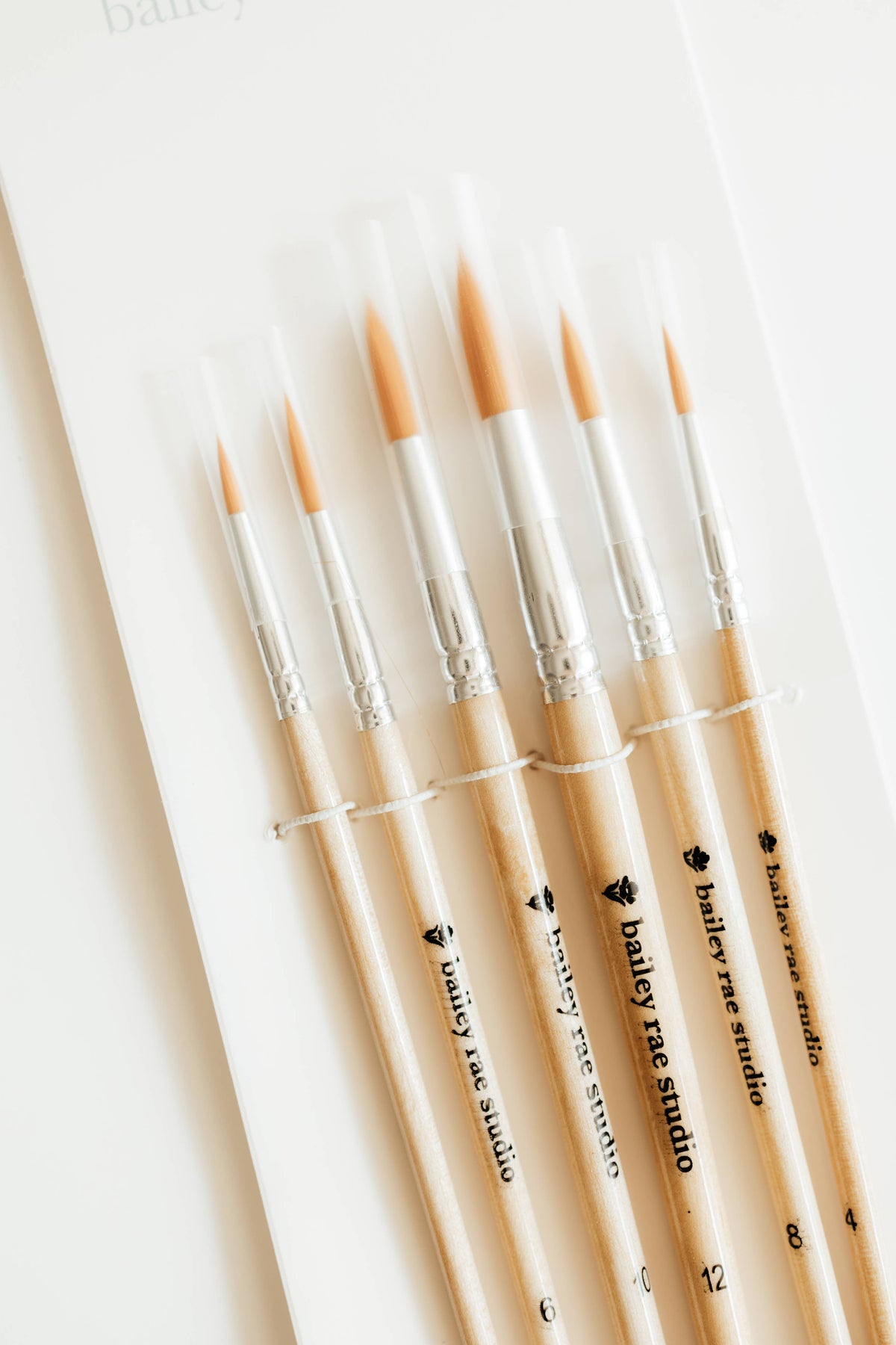 Watercolor Brush Collection