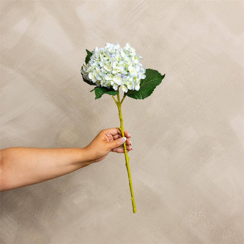 Hydrangea Light Blue