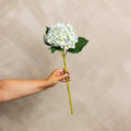 Hydrangea Light Blue