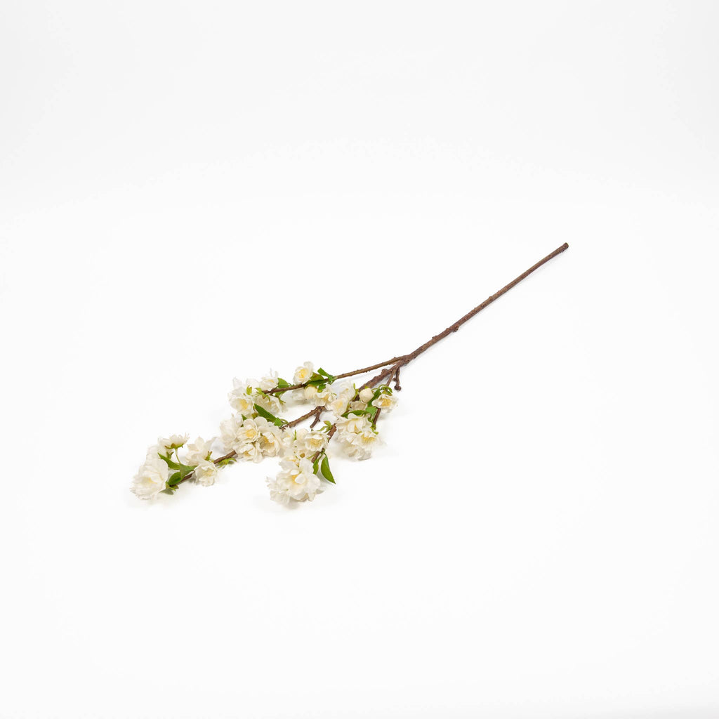 Cherry Blossom Branch