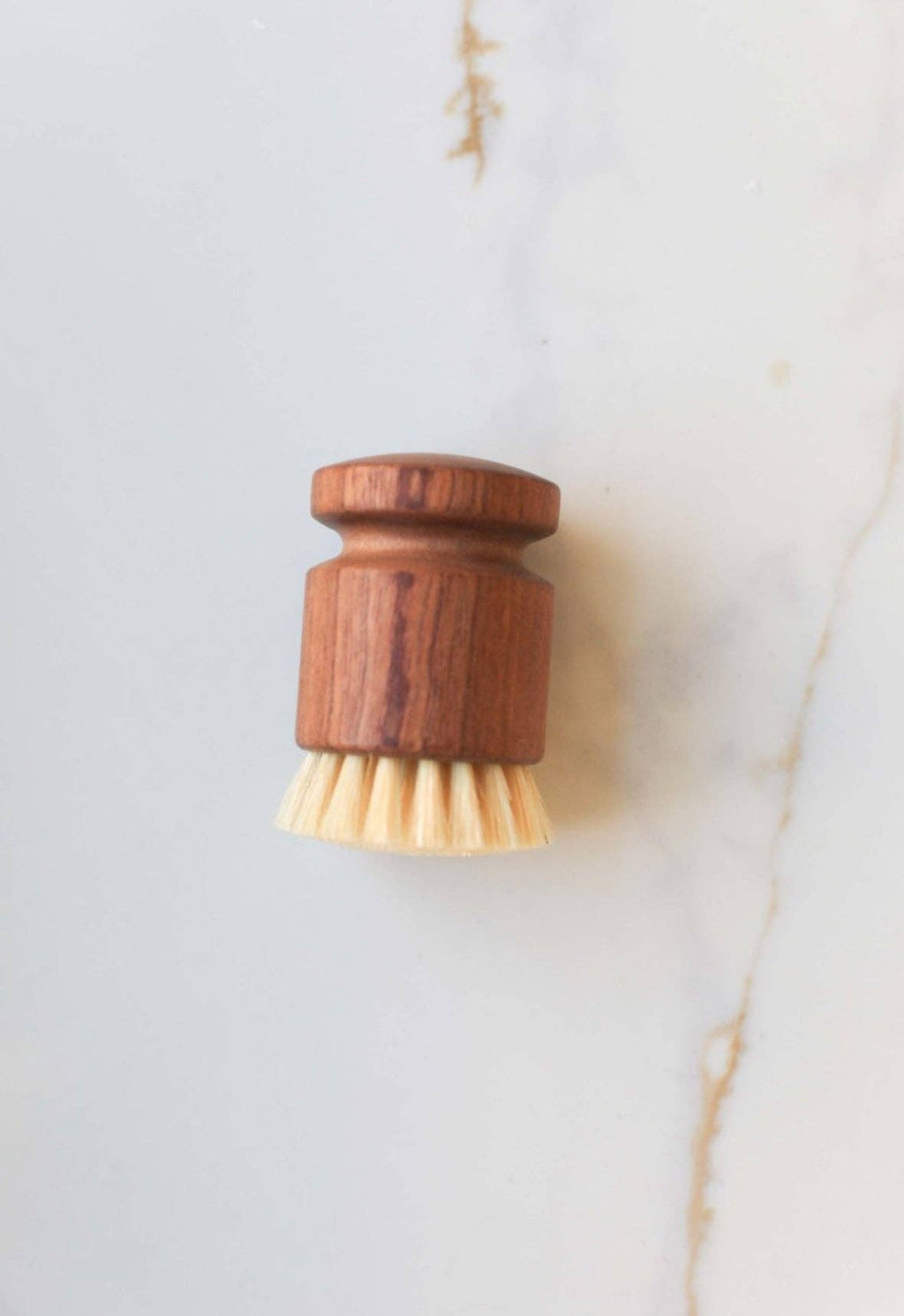 Eco Dish Scrub