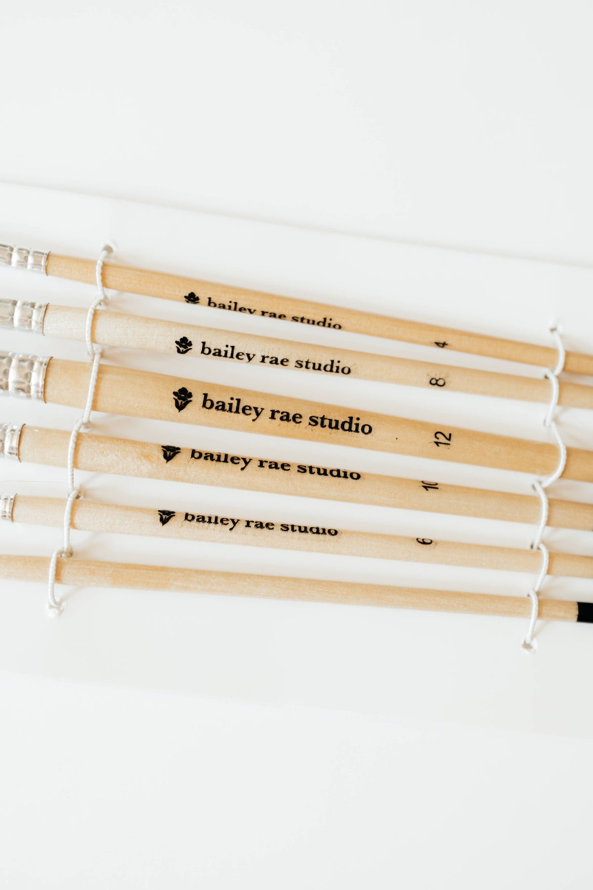 Watercolor Brush Collection