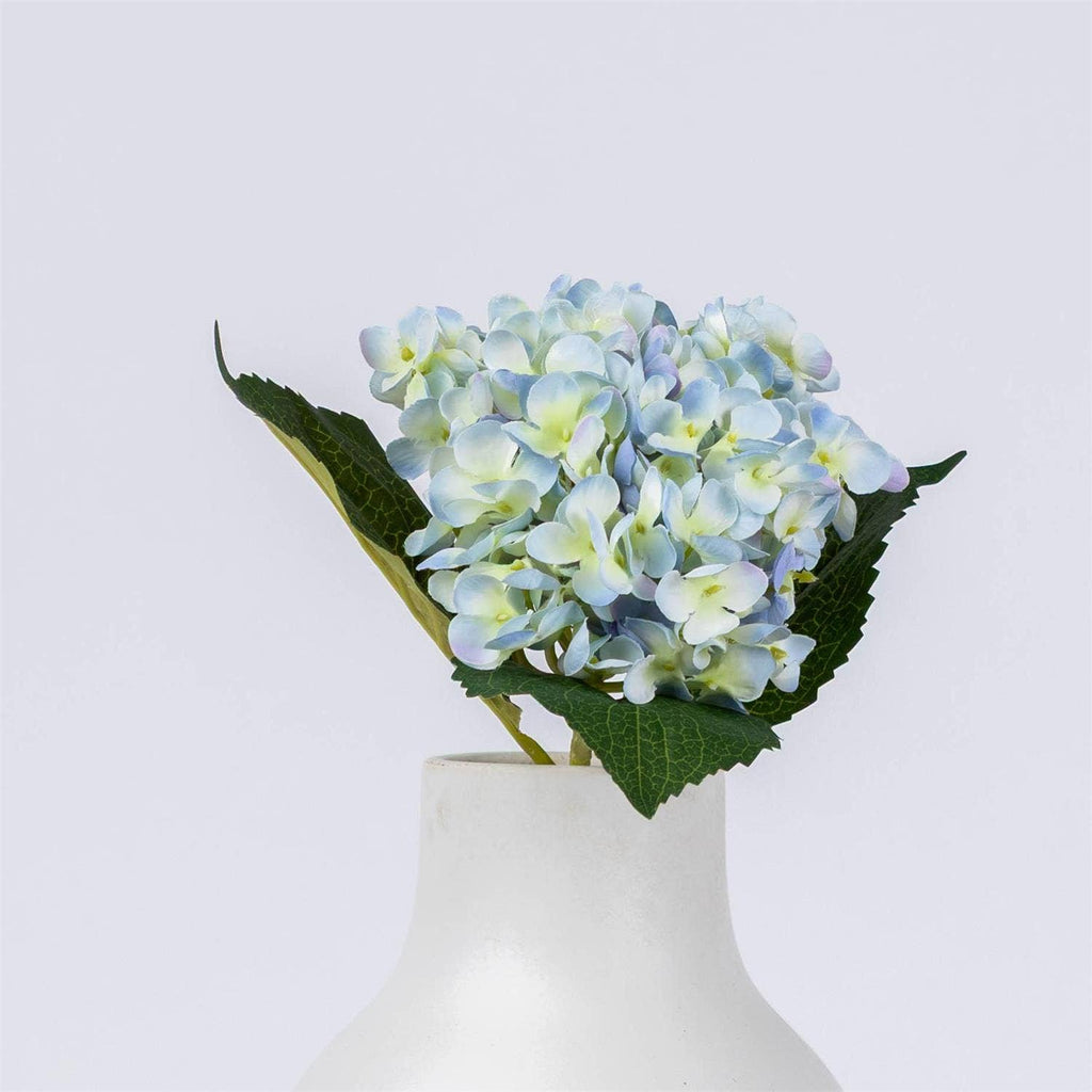 Hydrangea Light Blue