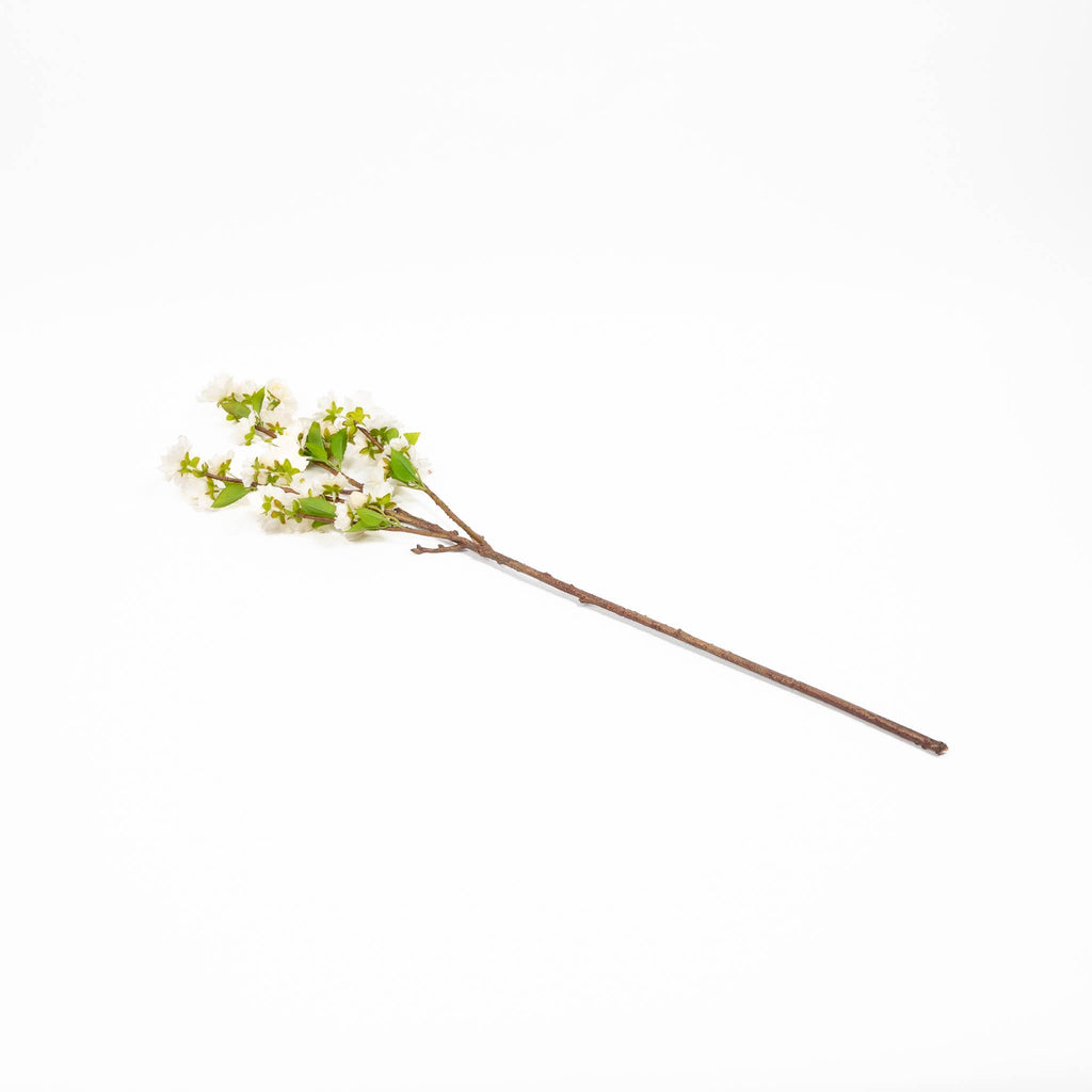 Cherry Blossom Branch