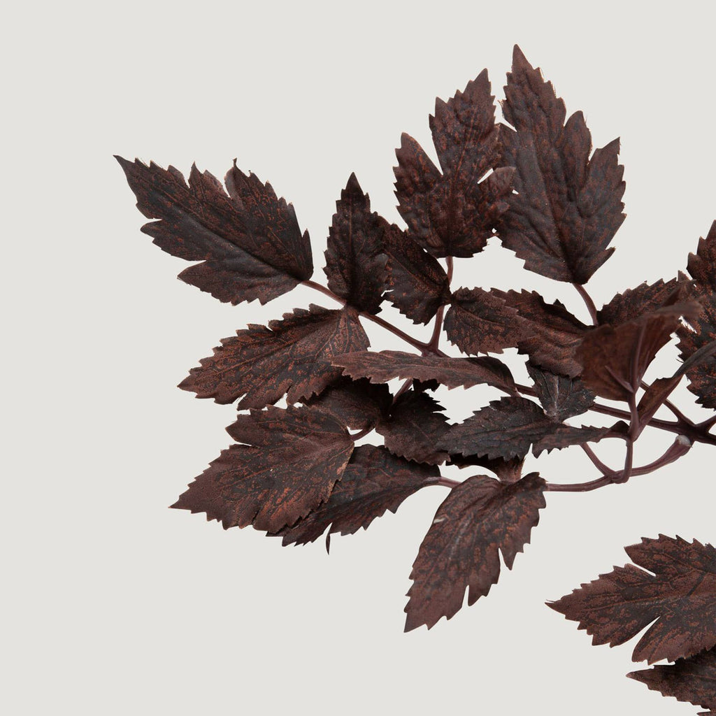 Artificial Cimicifuga Plant Leaves