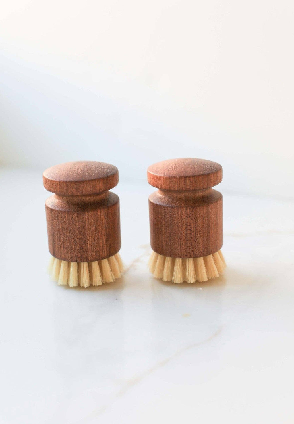 Eco Dish Scrub